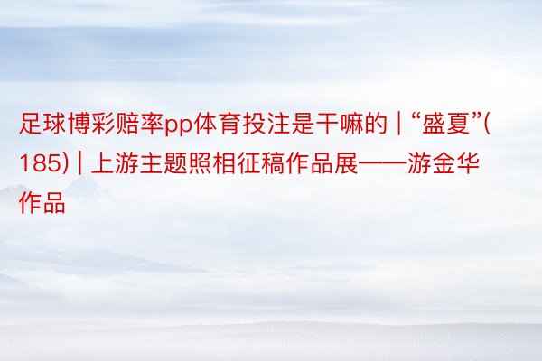 足球博彩赔率pp体育投注是干嘛的 | “盛夏”(185) | 上游主题照相征稿作品展——游金华作品