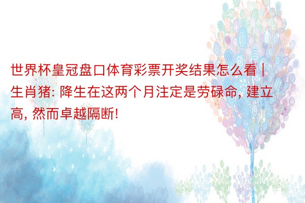世界杯皇冠盘口体育彩票开奖结果怎么看 | 生肖猪: 降生在这两个月注定是劳碌命, 建立高, 然而卓越隔断!