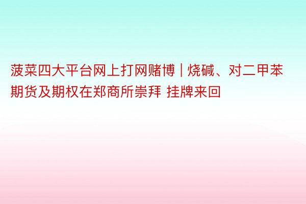 菠菜四大平台网上打网赌博 | 烧碱、对二甲苯期货及期权在郑商所崇拜 挂牌来回