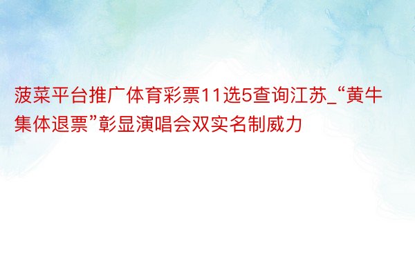 菠菜平台推广体育彩票11选5查询江苏_“黄牛集体退票”彰显演唱会双实名制威力